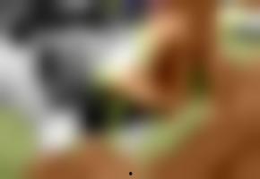 国产欧美视频在线观看