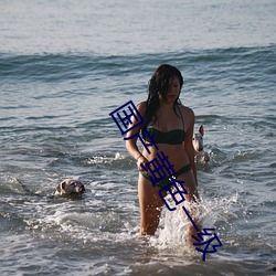 成人三级国产,成人三级教育新篇章